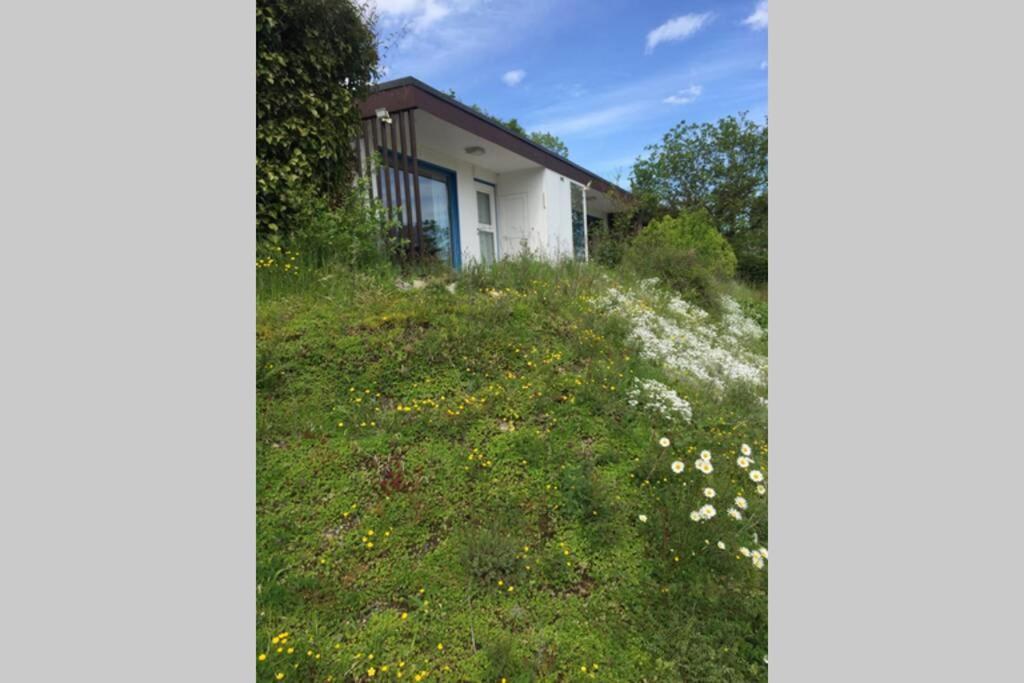 Idyllisch Wohnen Im Weserbergland - Bungalow Mit Phantastischer Aussicht Fuer 4 Personen Polle エクステリア 写真