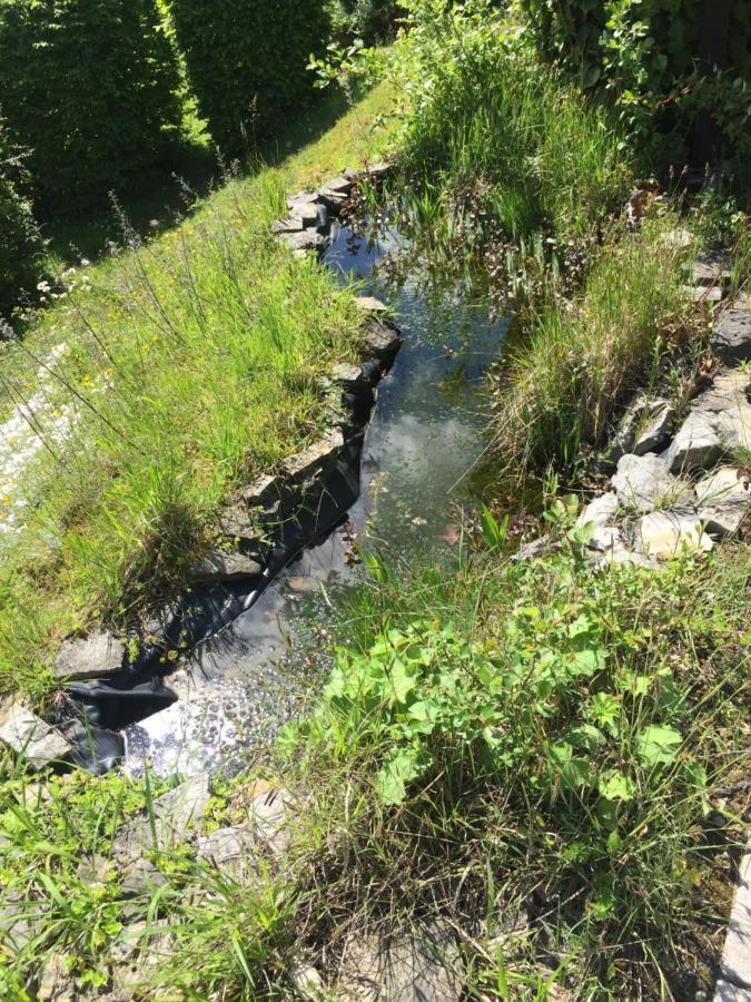 Idyllisch Wohnen Im Weserbergland - Bungalow Mit Phantastischer Aussicht Fuer 4 Personen Polle エクステリア 写真